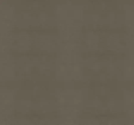 Exotic Technical Grey