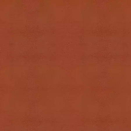 Exotic Technical Orange