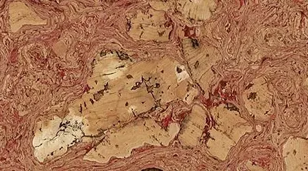 Fiona-Iberica_Cork_dalles_mur_plafond_liege_Iberica_Cork_dalles_liege