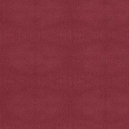 Jungle Technical Vivacious