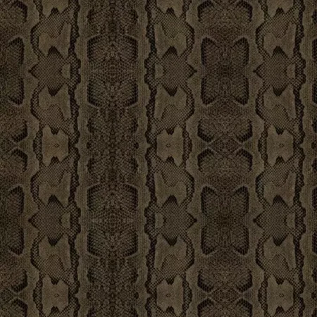 Python Technical Black