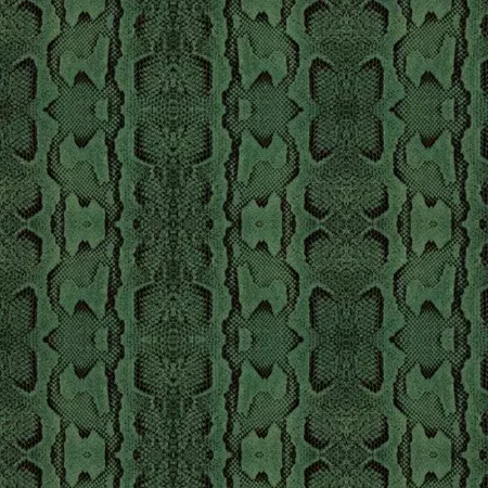 Python Technical Emerald