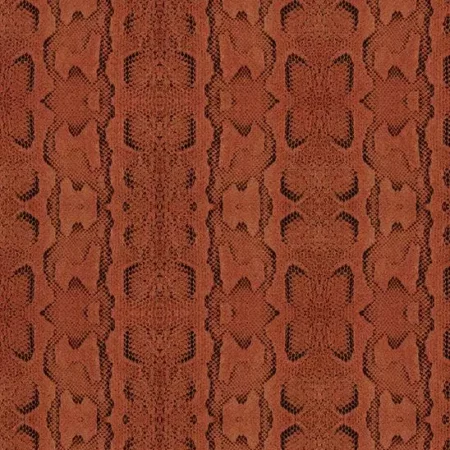 Python Technical Koi