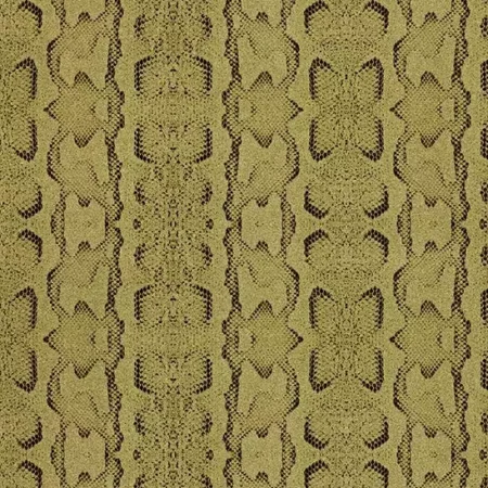 Python Technical Linden Green