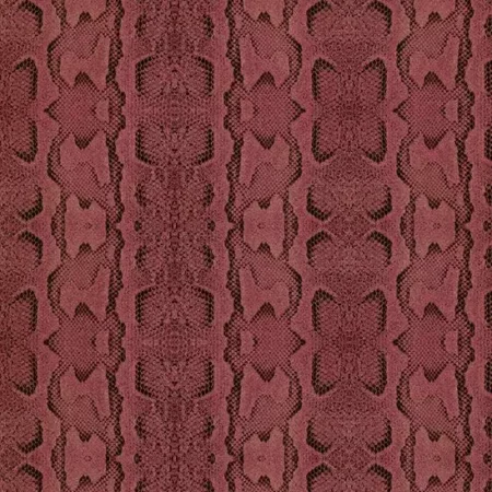 Python Technical Vivacious