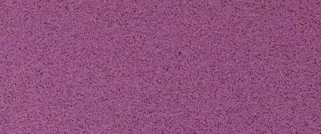 Wall Color 11