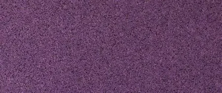 Wall Color 12
