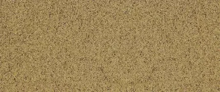 Wall Color 4