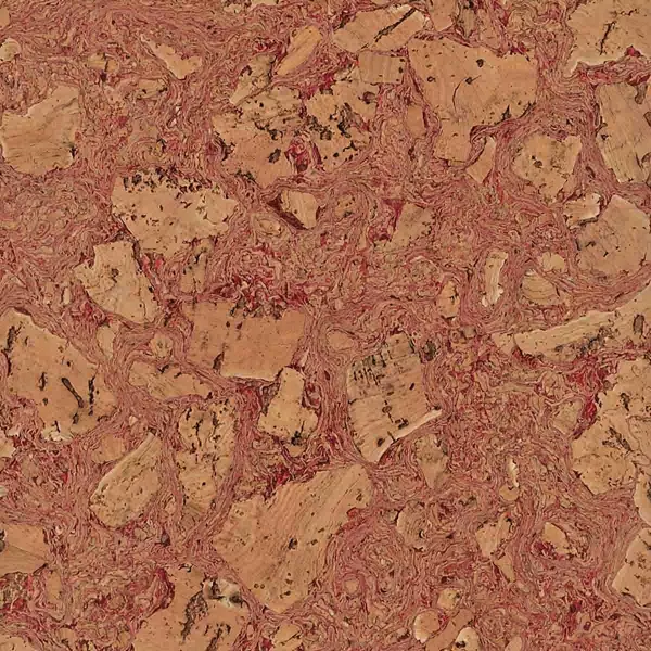 Décoration Murale en Liège au Maroc