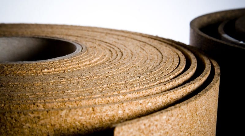 Pourquoi le liège est sous-estimé au Maroc