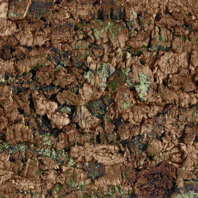 Rustic-Cork-Bark-compressed-scaled