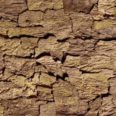 Rustic-Cork-Belly-compressed-scaled